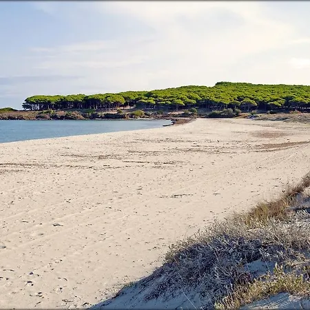 Апартаменты Le Magnolie Будони